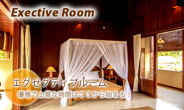 Executive room